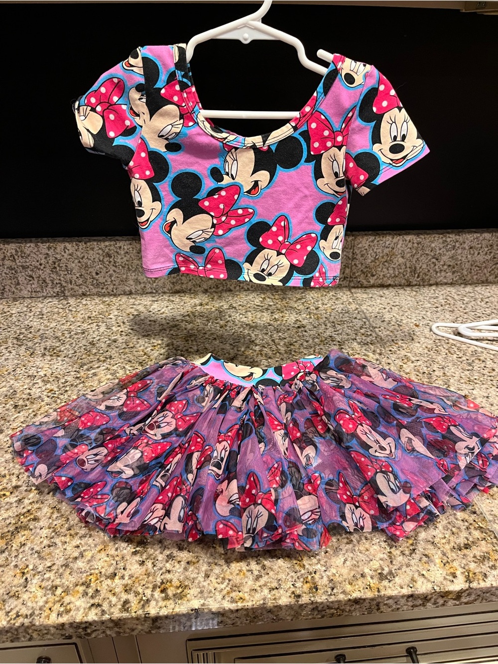 Wild Rich Kids Minnie Mouse Pink Crop Top & Tulle Skirt Set